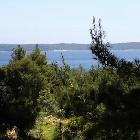 Zavala 594b Jelsa (Hvar)
