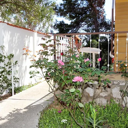 公寓 Zavala 594b 耶尔萨