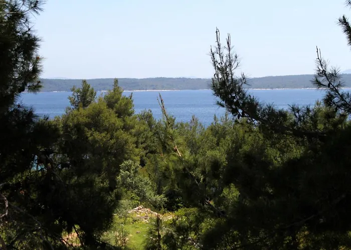 Zavala 594b Jelsa (Hvar)